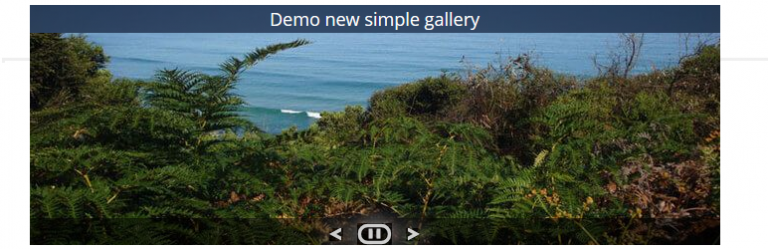 New Simple Gallery
