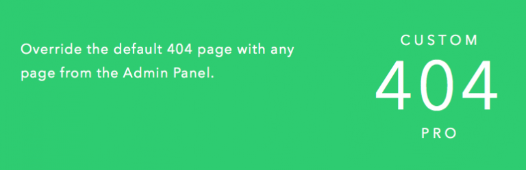 Custom 404 Pro