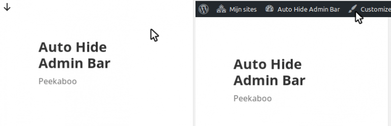 Auto Hide Admin Bar