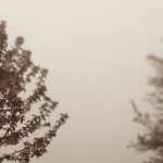 Lightbox for Wordpress Gallery