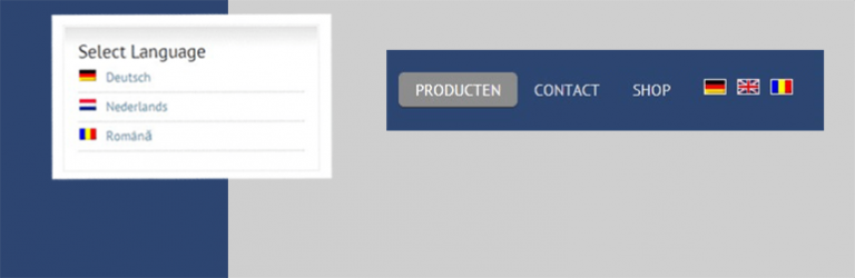 WPML flag in menu Extended