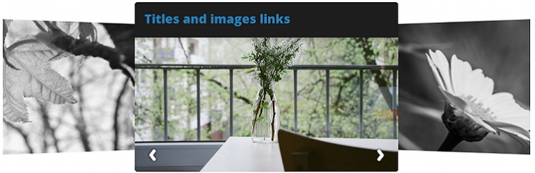 HORIZONTAL SLIDER