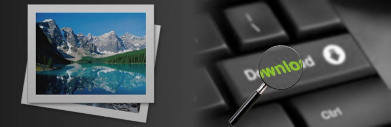 WP-Force Images Download