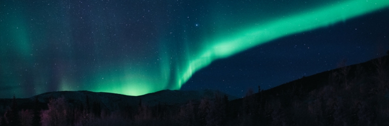 Fusion Page Builder : Extension – Post Details