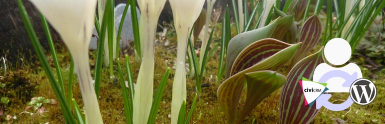 CiviCRM Profile Sync