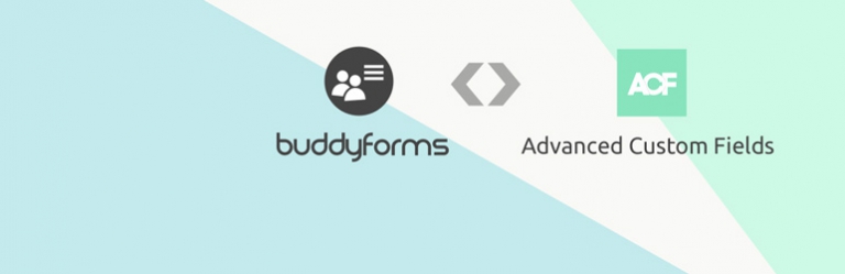 BuddyForms ACF
