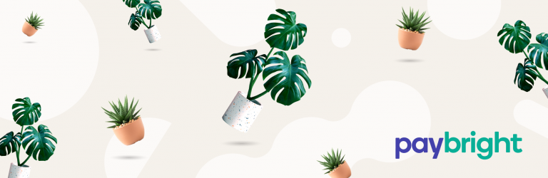 PayBright Payment Gateway