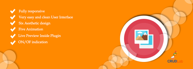 Image Gallery Box by CRUDLab