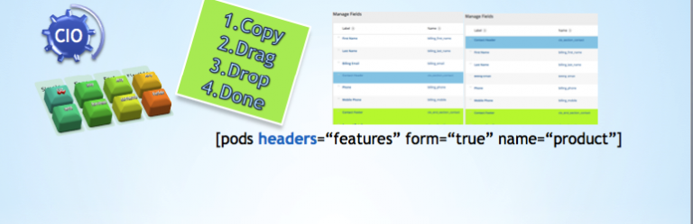 CIO Custom Field Groups for PODS