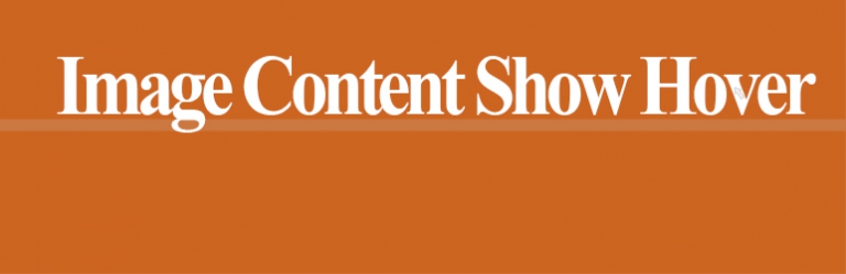 Image Style Hover – Displays content when you hover on image