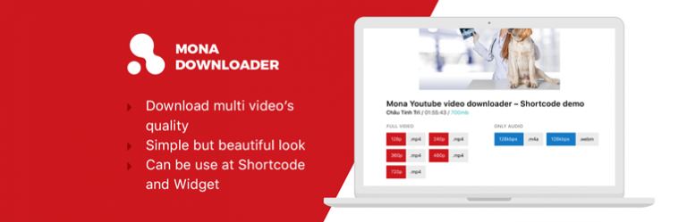 Mona Youtube Downloader