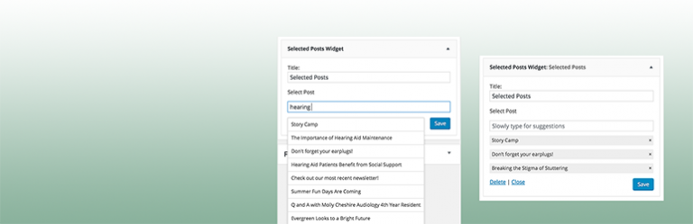 Selected Posts Widget