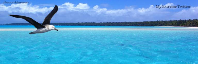 My Extreme Twitter