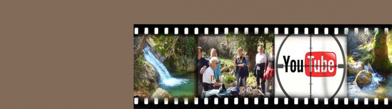 Related Video Widget For Post From Youtube