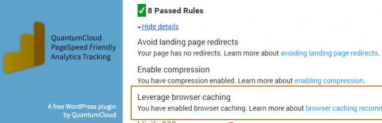 QuantumCloud PageSpeed Friendly Analytics Tracking