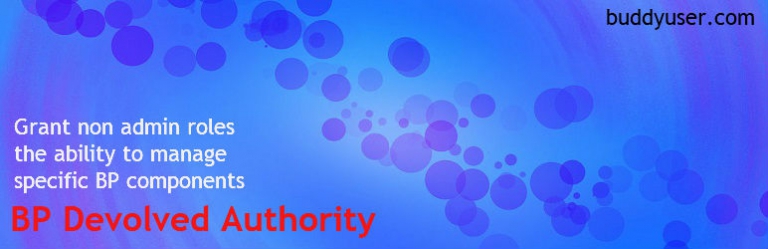 BP Devolved Authority