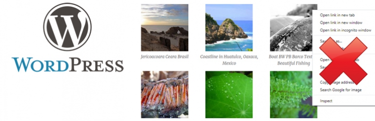 Disable Right Click Images
