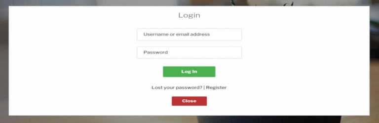 WP Login Register Flow
