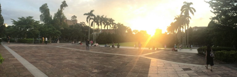 Code Snippets in Comments