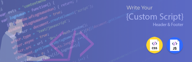 Insert Custom CSS and JS in Header & Footer